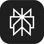 Perplexity logo